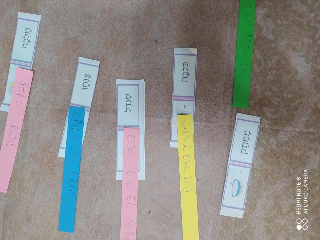 רויטל הוראה מתקנת רויטל הוראה מתקנת