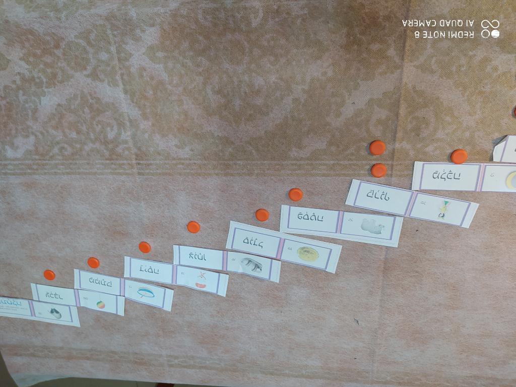 רויטל הוראה מתקנת רויטל הוראה מתקנת