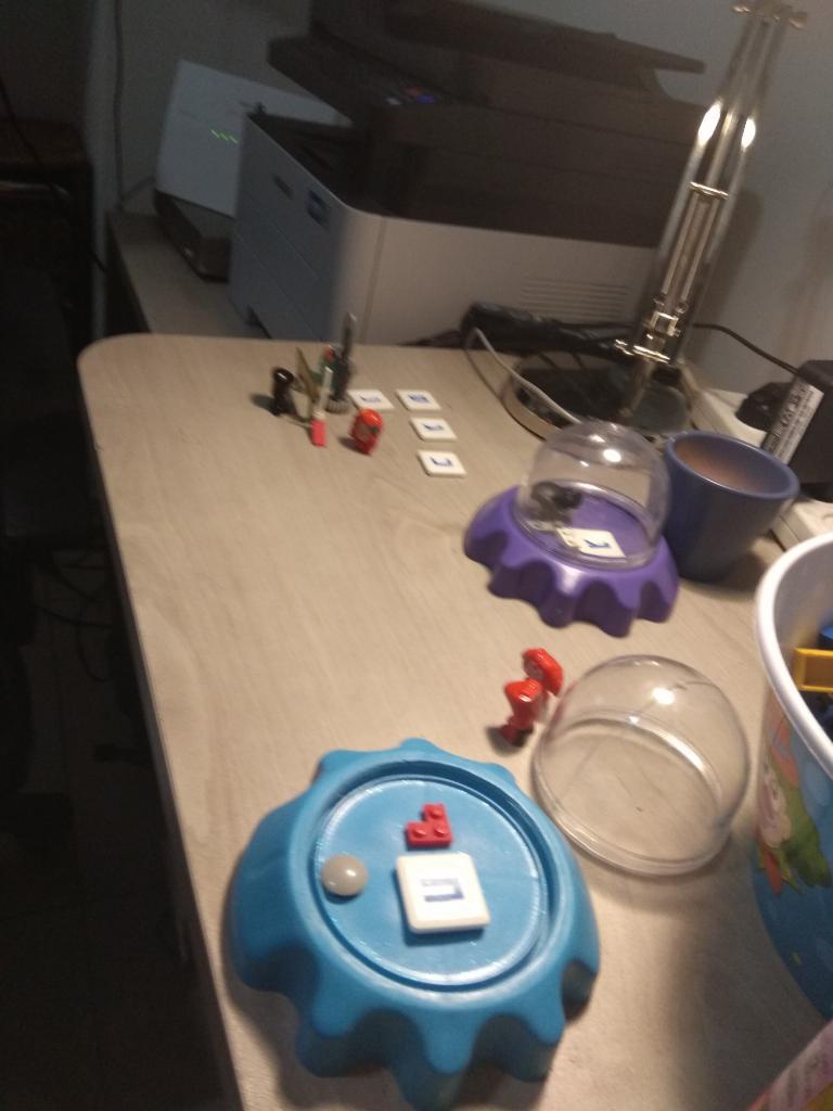 רויטל הוראה מתקנת רויטל הוראה מתקנת