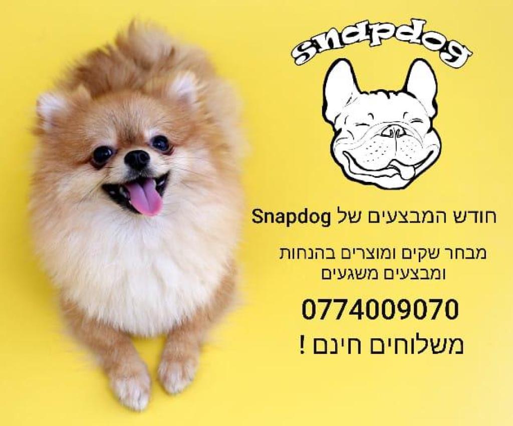 snapdog snapdog