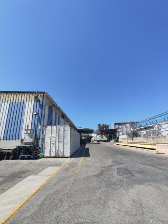 תיווך ניו קפיטל תיווך ניו קפיטל