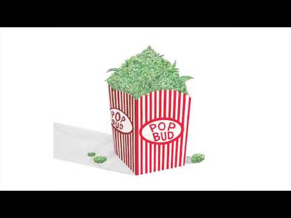 גלריית DONZA גלריית DONZA