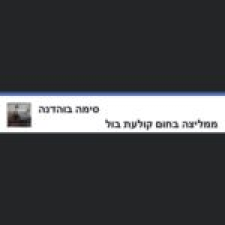 איריס דביר