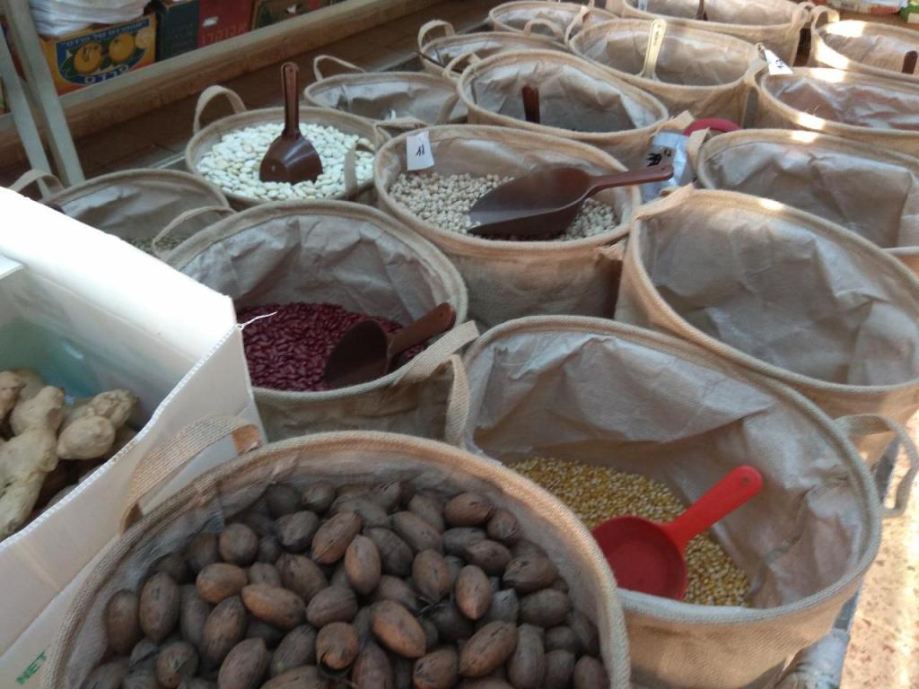 תבליני גמליאל תבליני גמליאל