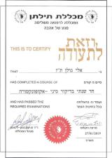 אלי גולן