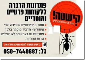 קישטה