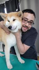 My Doggy