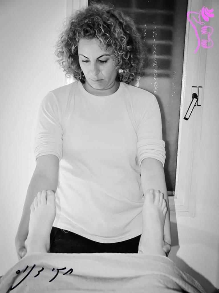 תיקי דנוס תיקי דנוס