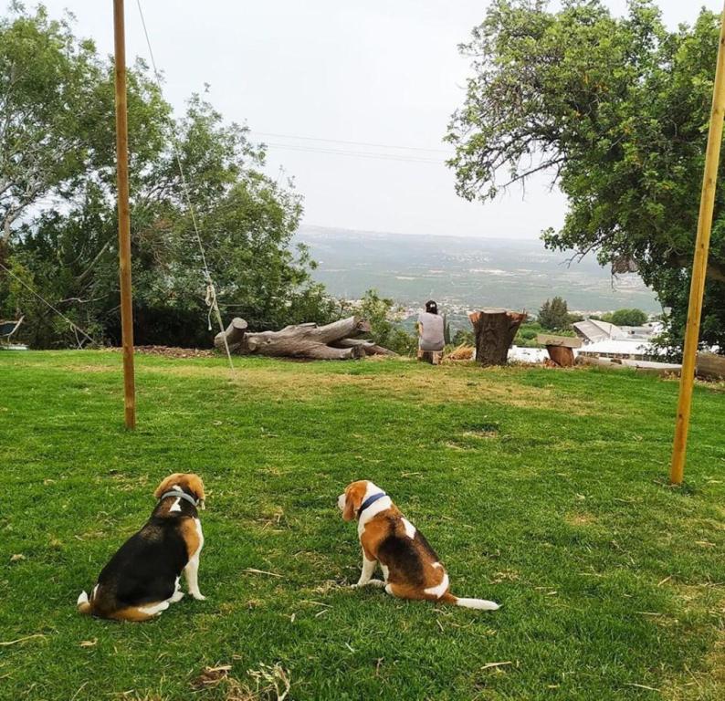 בית קפה וחנות צנצנת בית קפה וחנות צנצנת