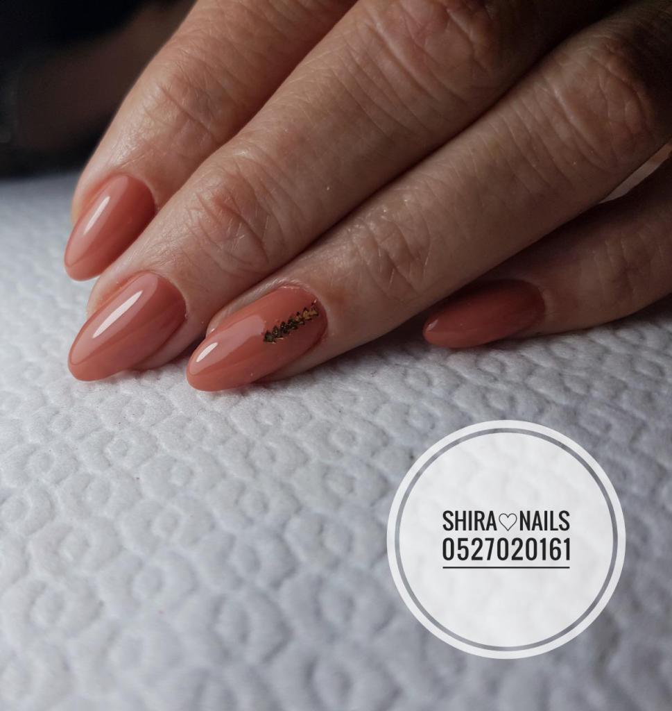 שירה ניילס שירה ניילס