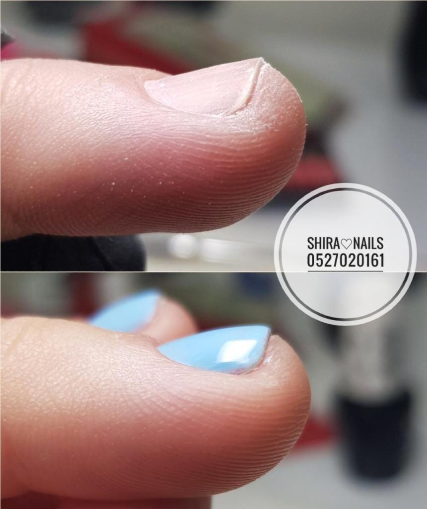 שירה ניילס שירה ניילס