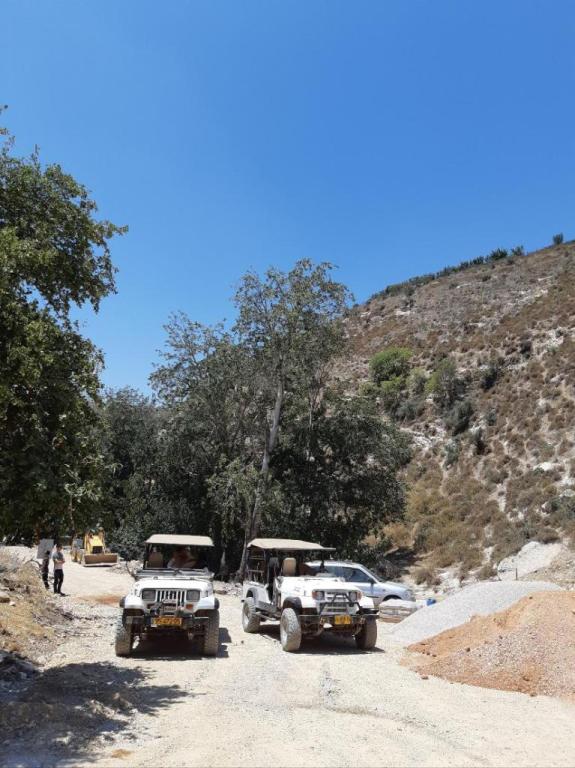 מגלים גליל מגלים גליל