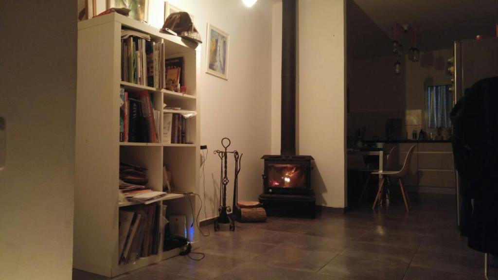 מילה פייגין מעלות מילה פייגין מעלות