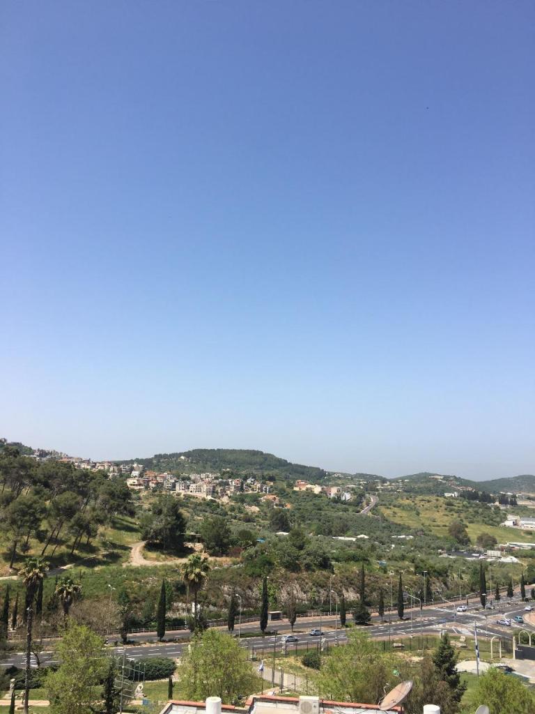 מילה פייגין מעלות מילה פייגין מעלות