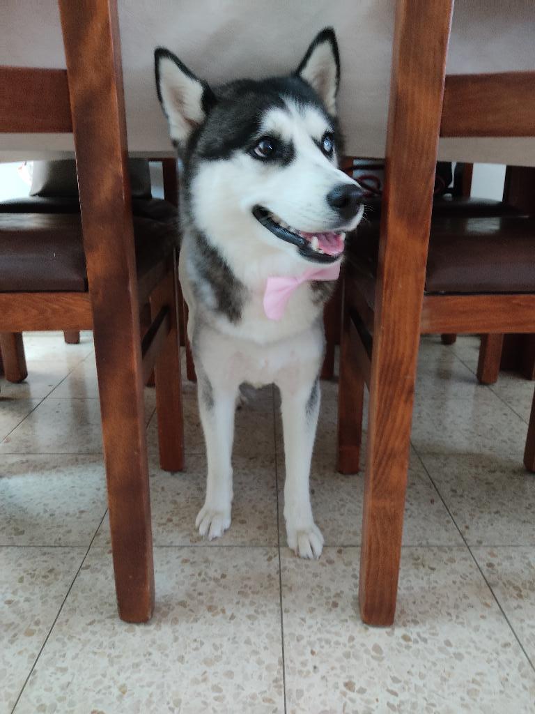 צ'ארלי בוטיק צ'ארלי בוטיק