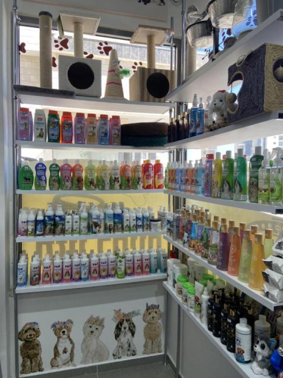 צ'ארלי בוטיק צ'ארלי בוטיק