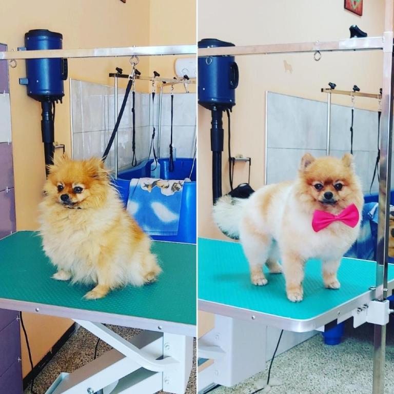 צ'ארלי בוטיק צ'ארלי בוטיק