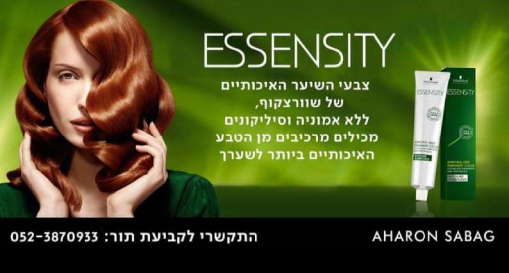 אהרון סבג אהרון סבג