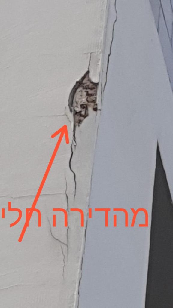 ולדמן אבי ולדמן אבי