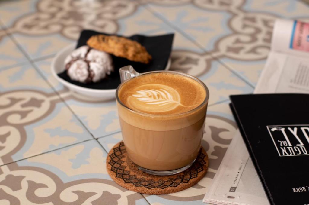 החצר של ספתא החצר של ספתא