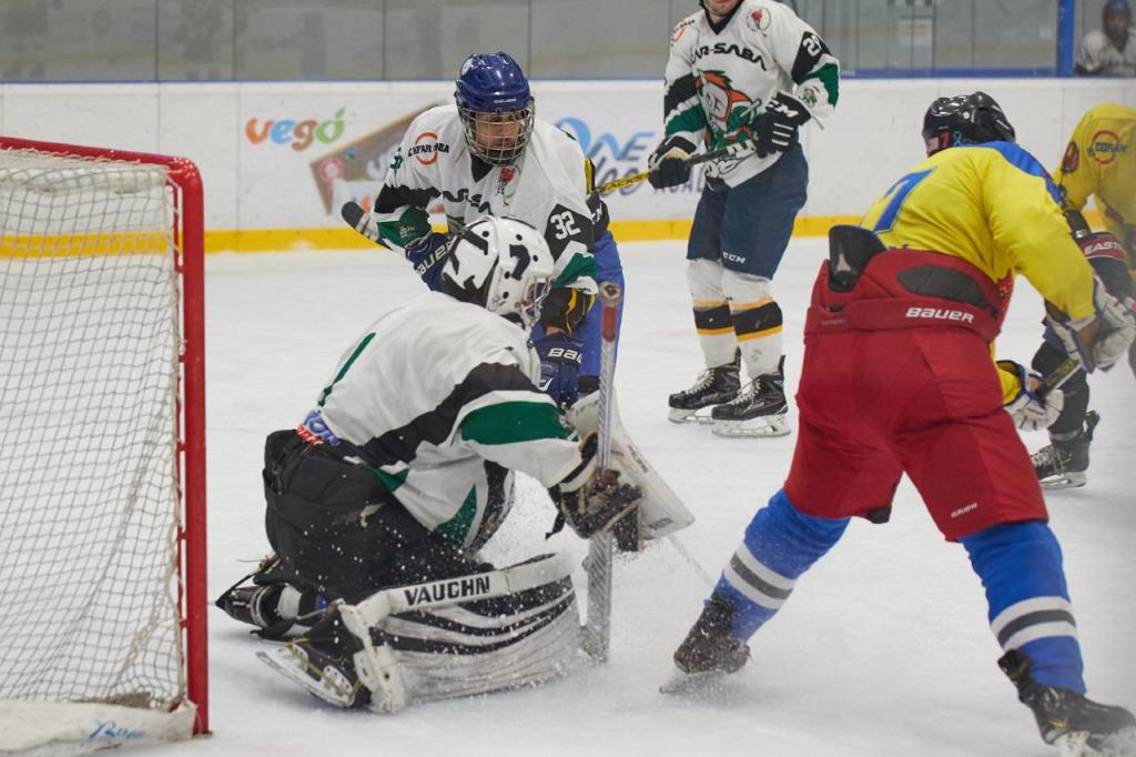 OneIce Arena OneIce Arena