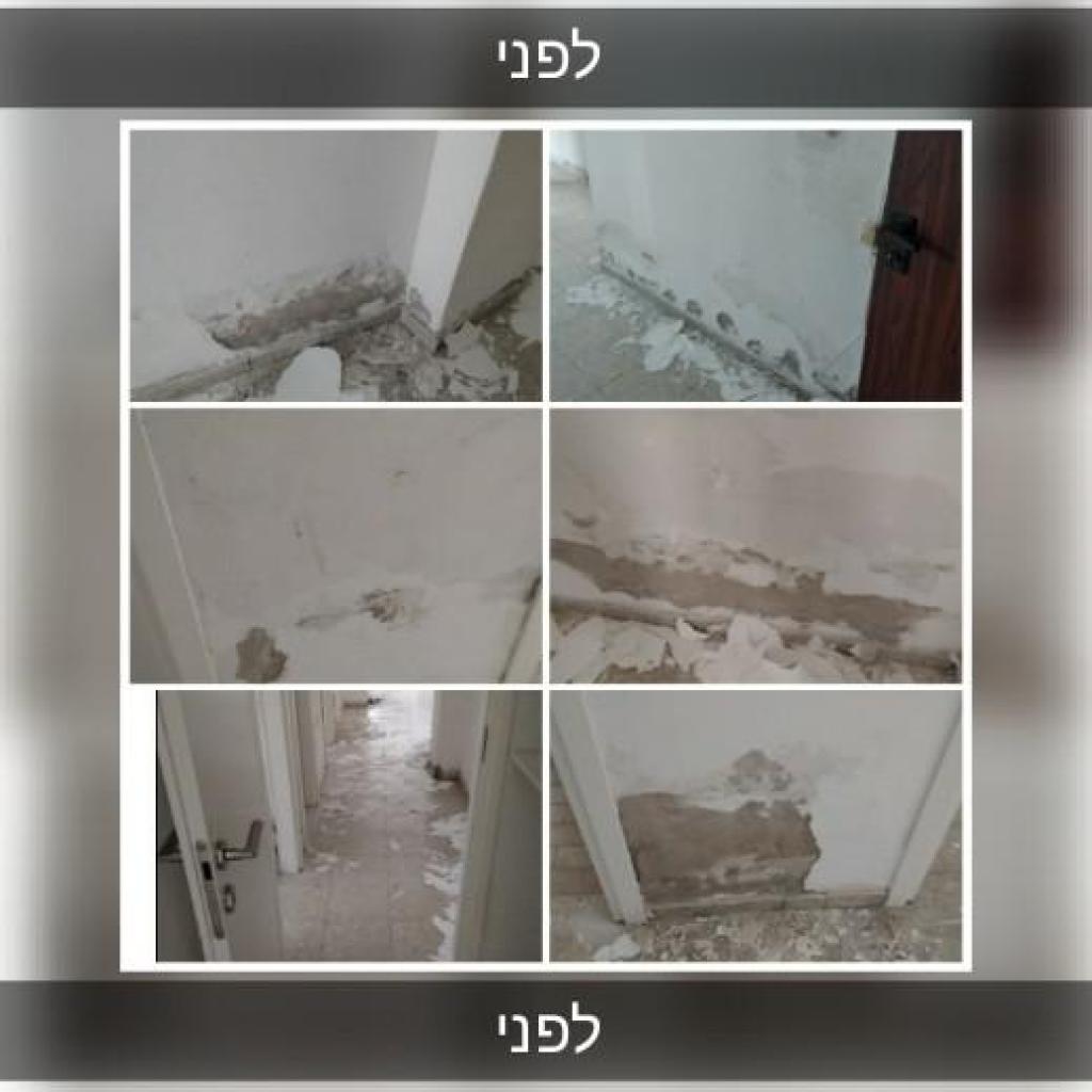 המרכז לצבע המרכז לצבע