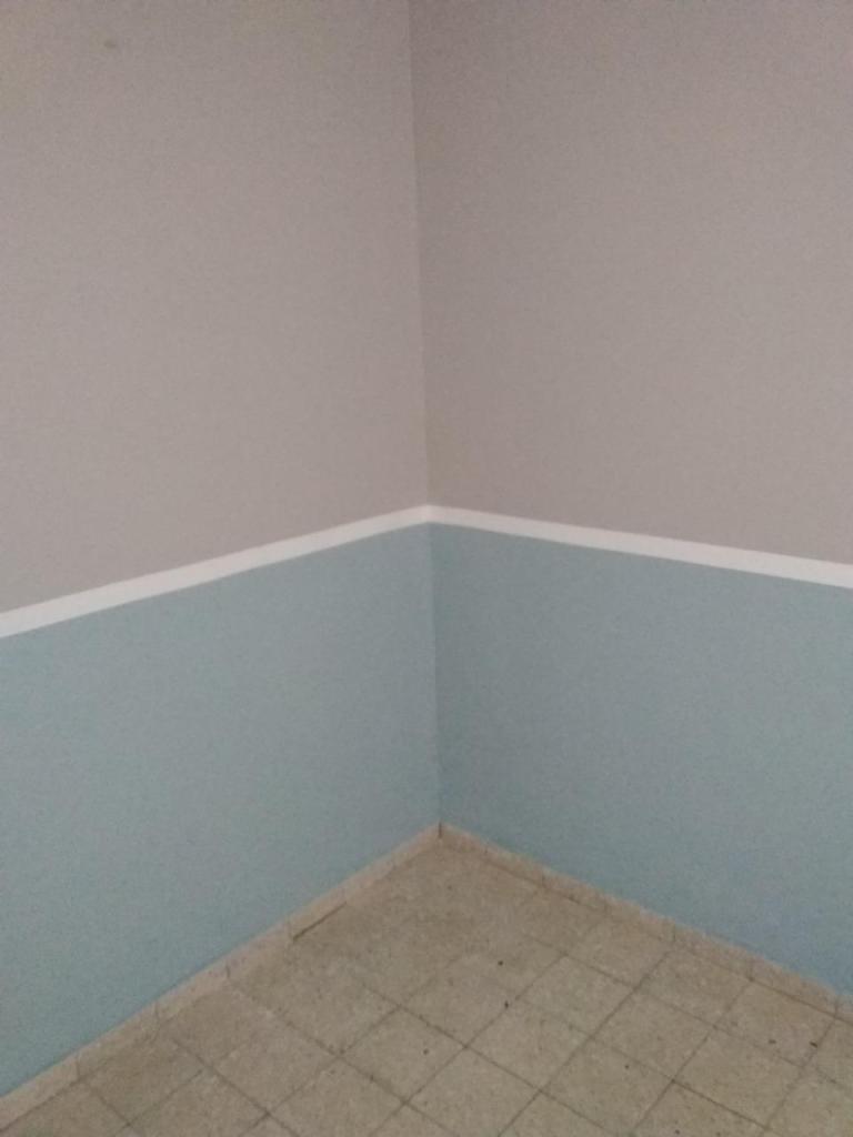 המרכז לצבע המרכז לצבע