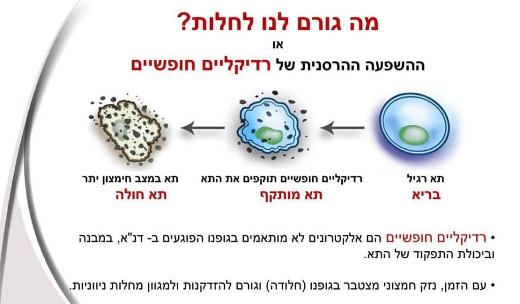 Forever Young Forever Young