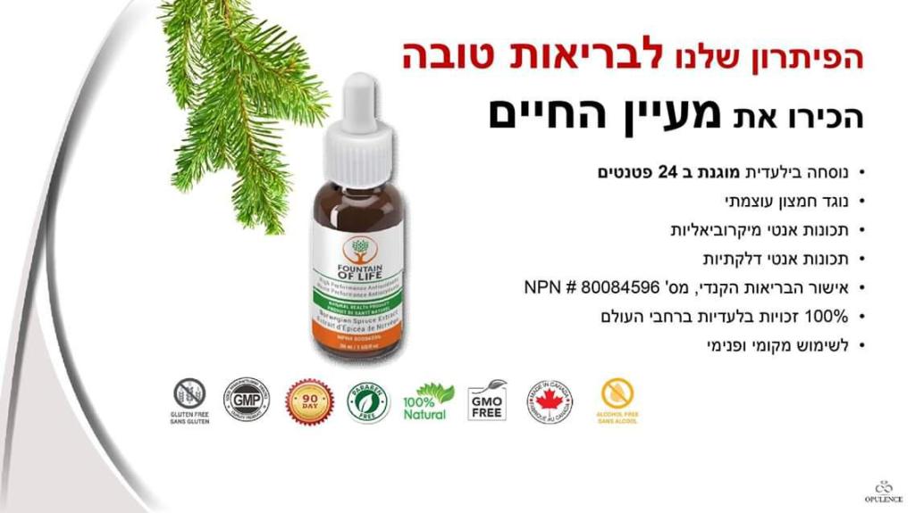 Forever Young Forever Young