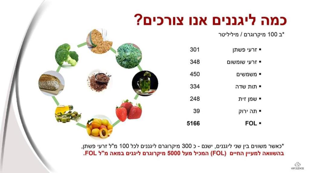 Forever Young Forever Young