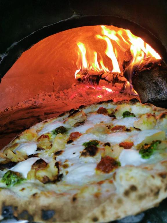 מפגש הטאבון בצל עצי הזית מפגש הטאבון בצל עצי הזית