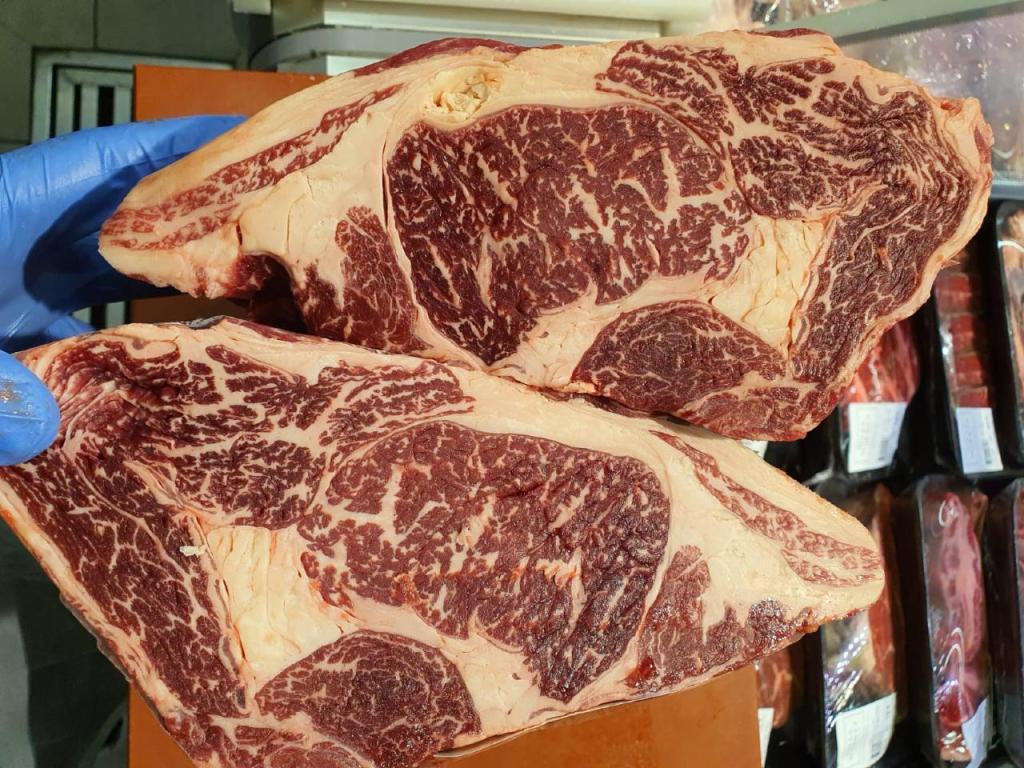 הבשרים של שחר הבשרים של שחר