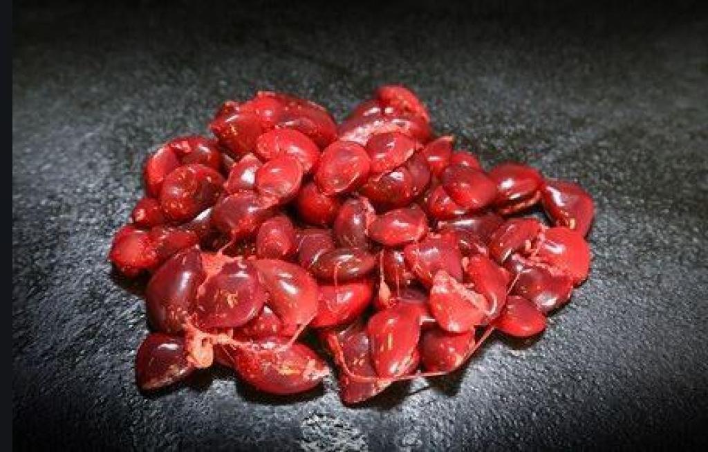 The Blue Cow The Blue Cow