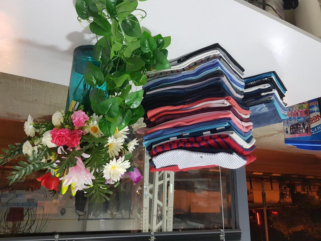 מכבסת דביבון מכבסת דביבון