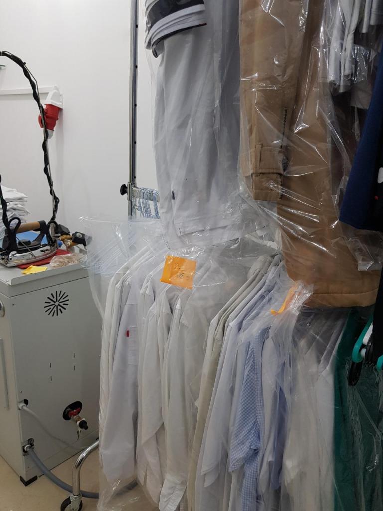 מכבסת דביבון מכבסת דביבון