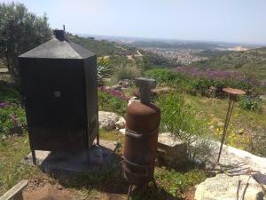 הכרכרה