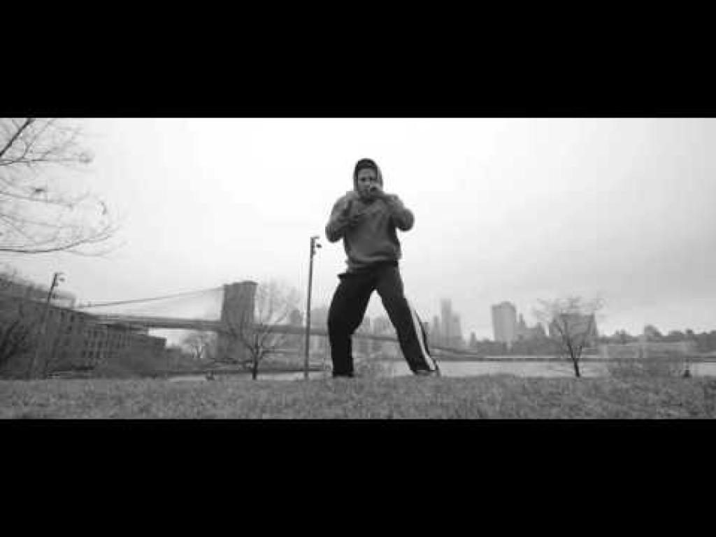 פיטבוקס מכון איגרוף פיטבוקס מכון איגרוף