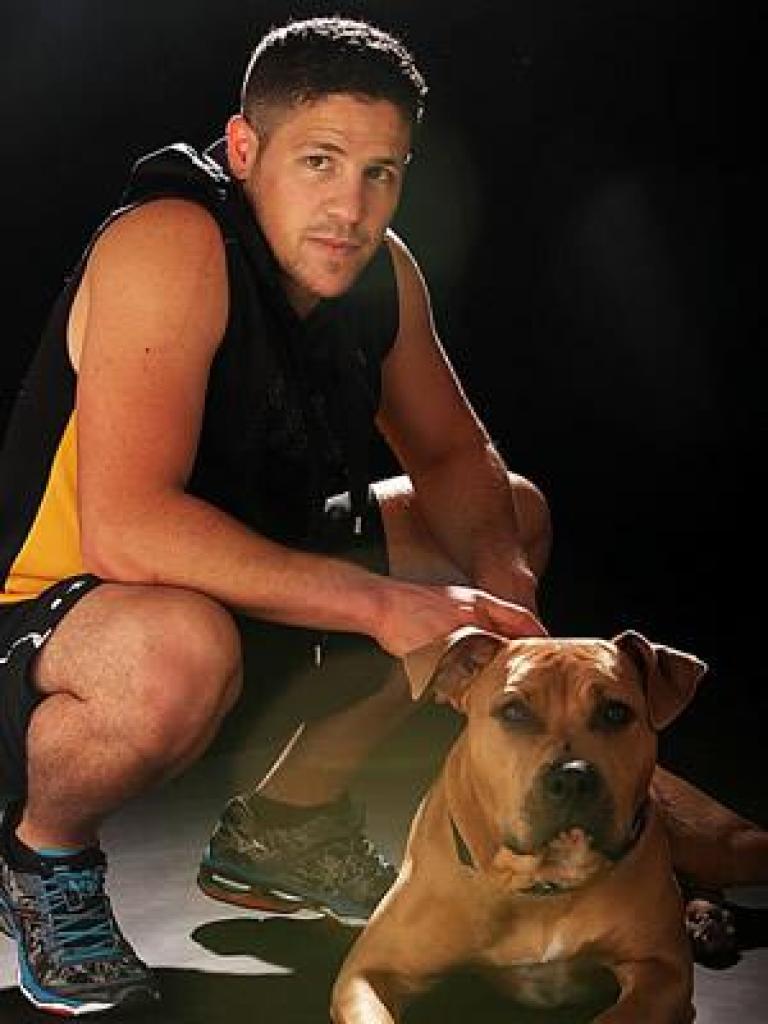 פיטבוקס מכון איגרוף פיטבוקס מכון איגרוף