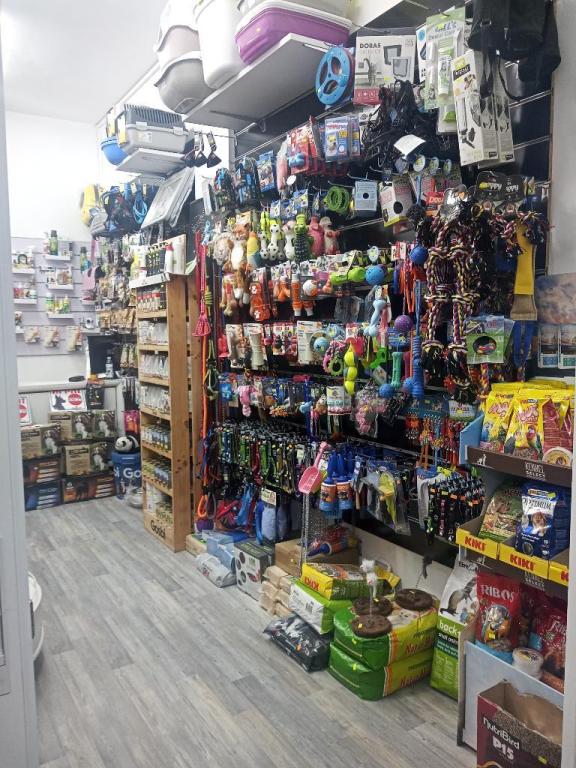 יאיר לחי יאיר לחי