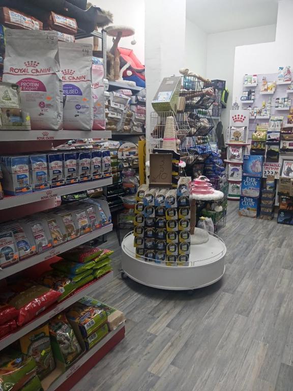 יאיר לחי יאיר לחי