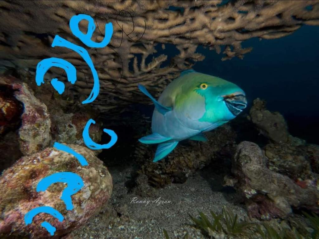 הידרו לגוף ולנפש הידרו לגוף ולנפש