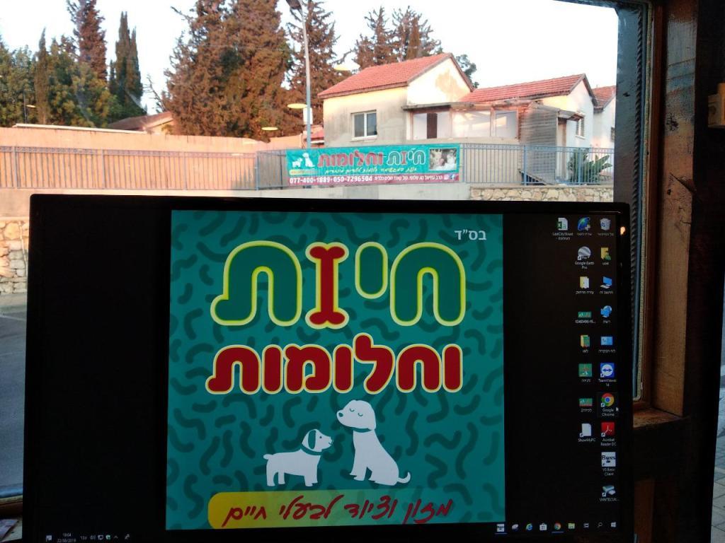 חיות וחלומות חיות וחלומות