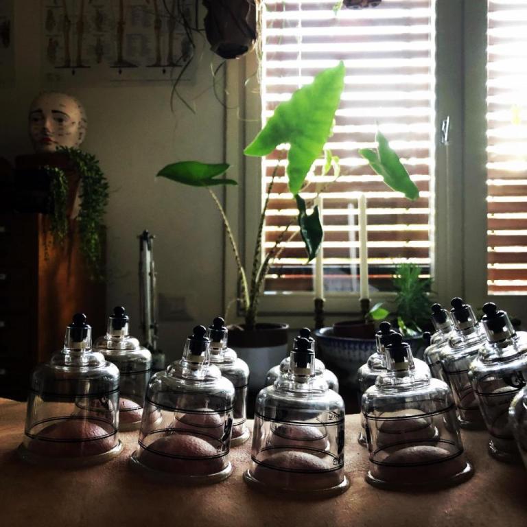 עידו קומפנו עידו קומפנו