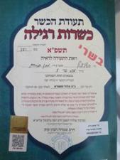 השניצלן