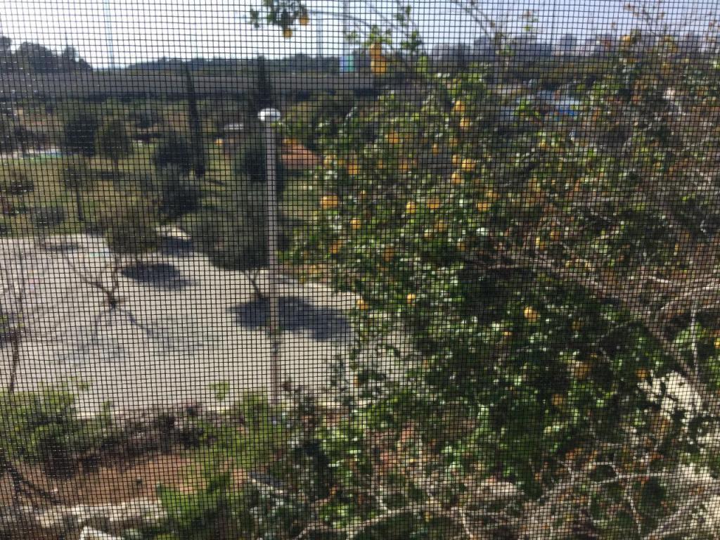 חלונות ותריסים שי כהן חלונות ותריסים שי כהן