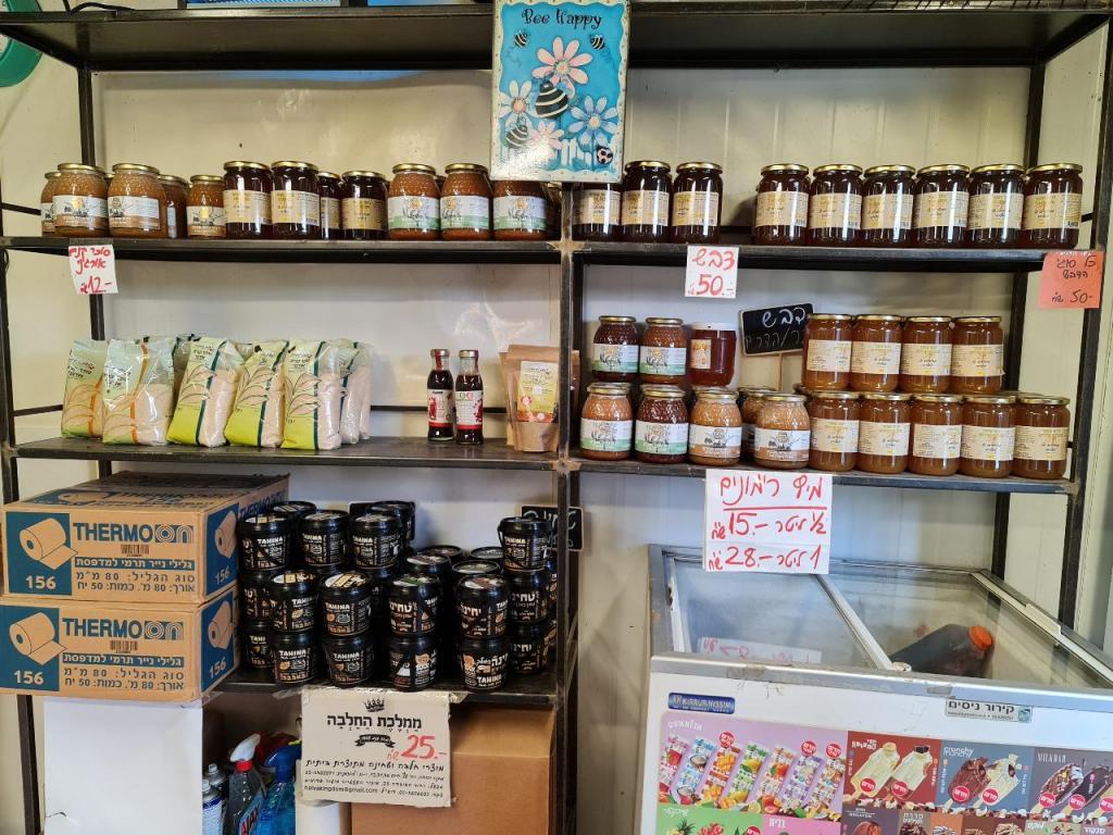 ביצים ביצרון ביצים ביצרון