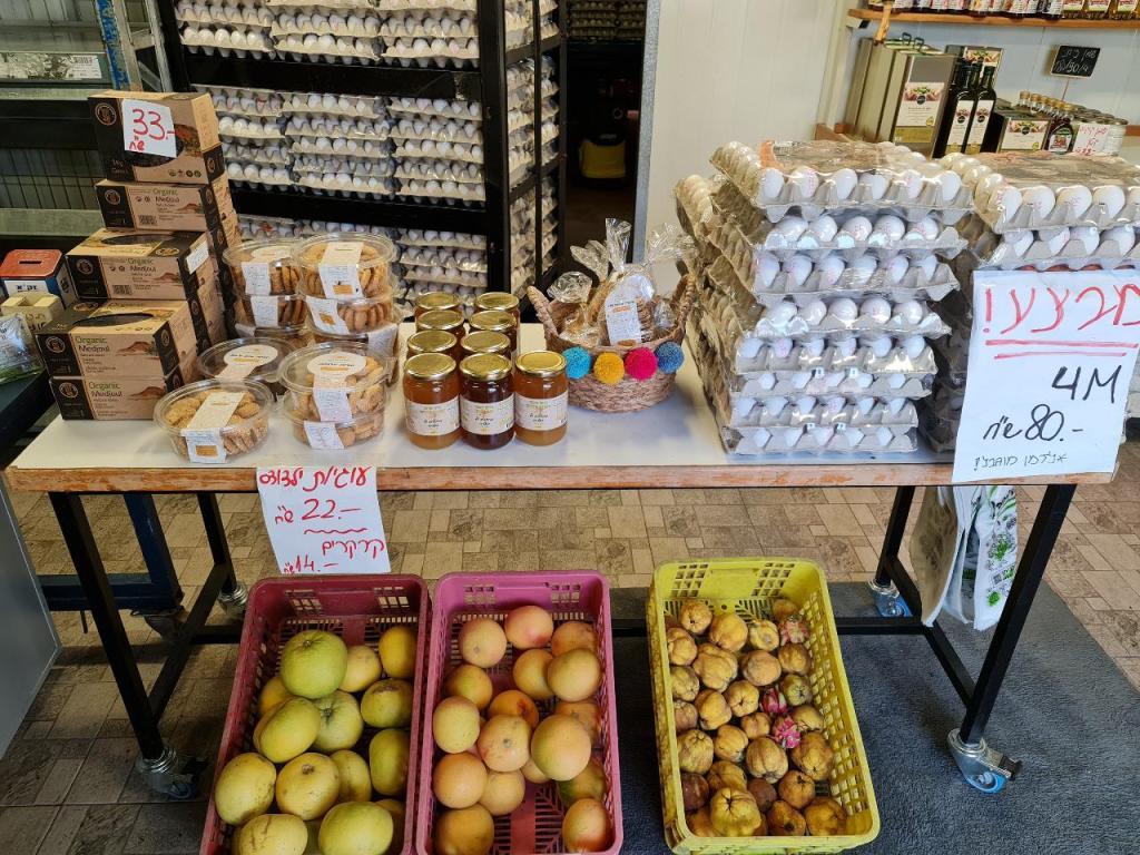 ביצים ביצרון ביצים ביצרון