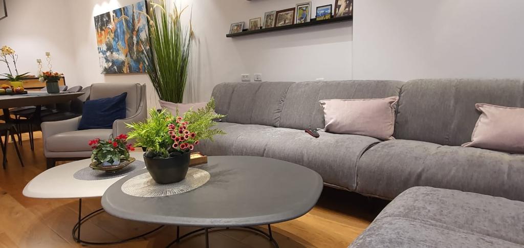 Zilbertzveig Zilbertzveig