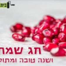 בית סנטר