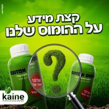 קיינה לנציאנו ועוז בעמ